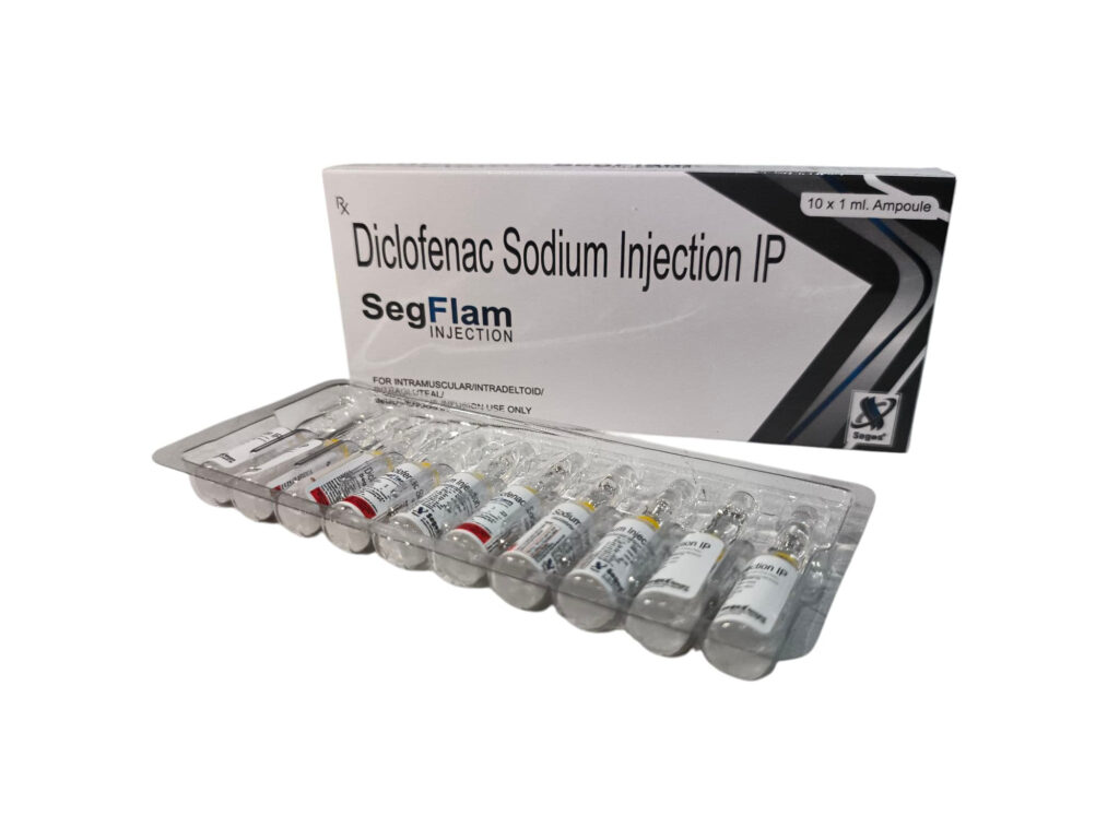 SegFlam Injection