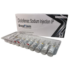 SegFlam Injection