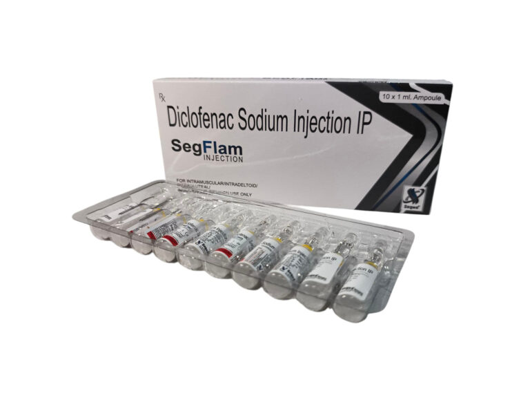 SegFlam Injection