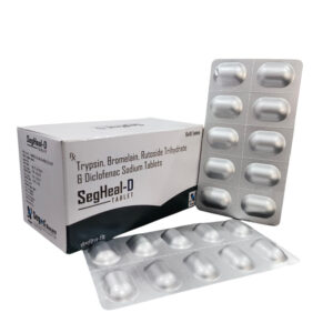 SegHeal-D